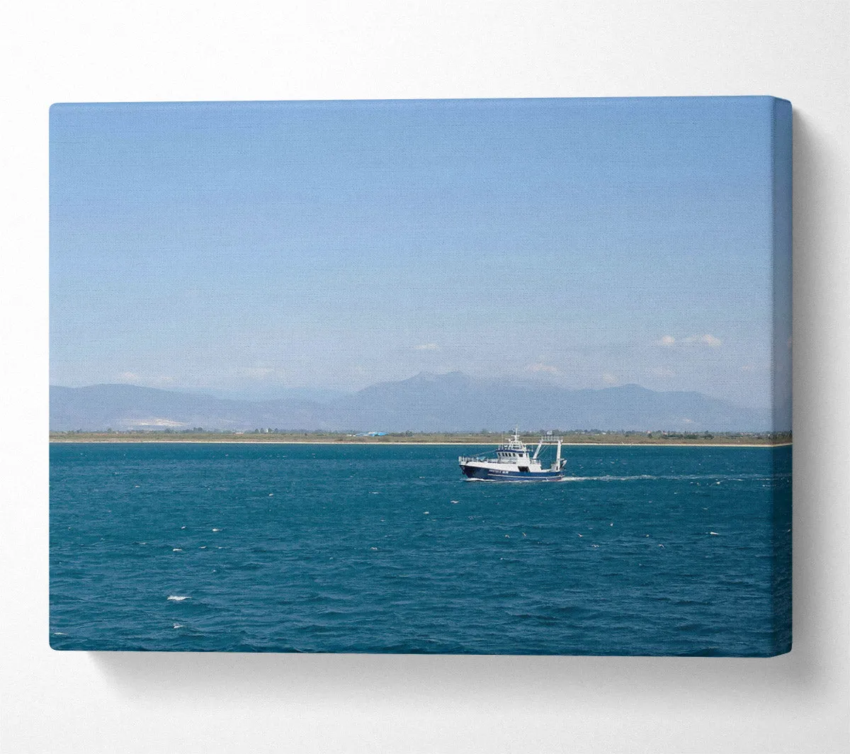 Blue Horizon Boat