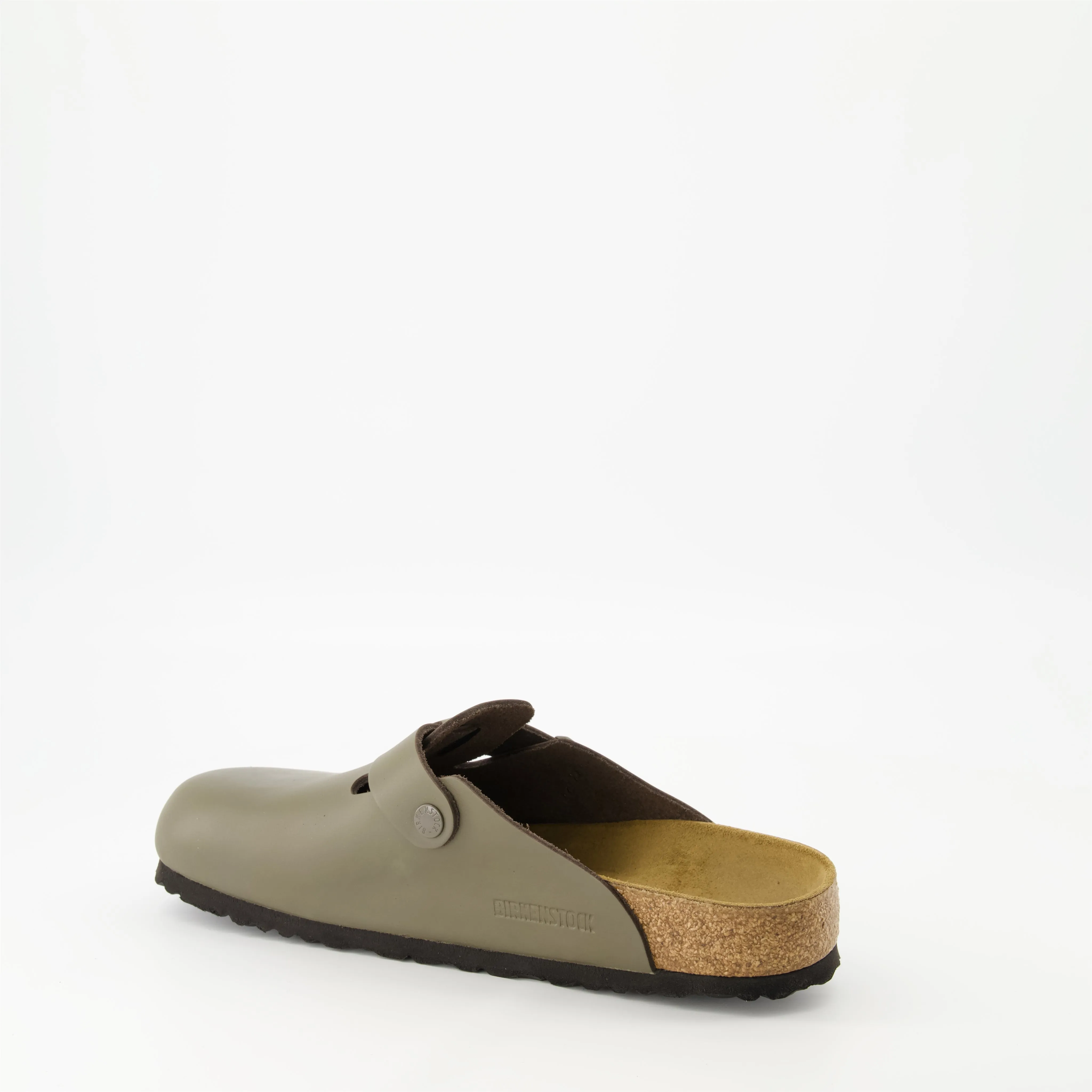 Boston Cacti Mules