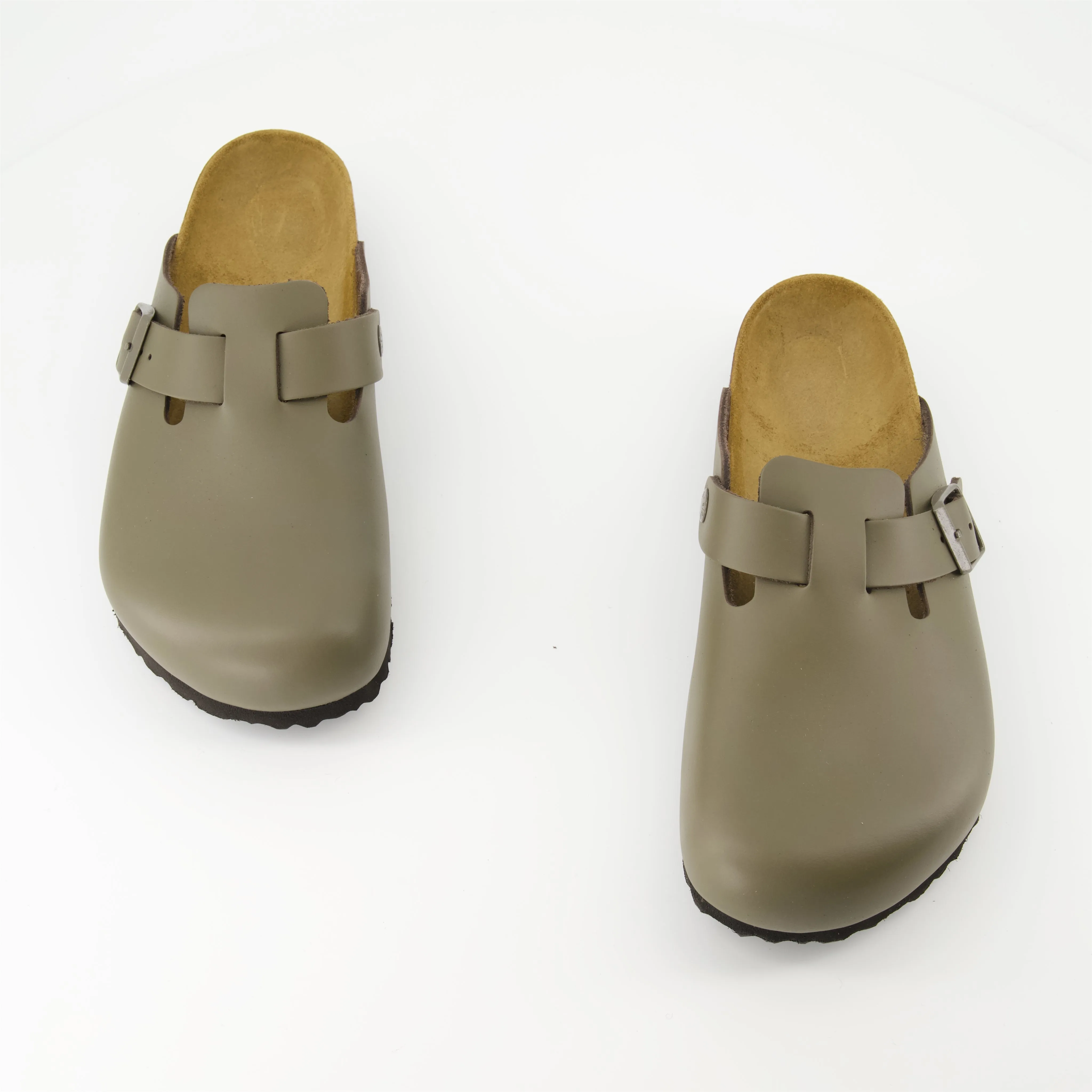 Boston Cacti Mules