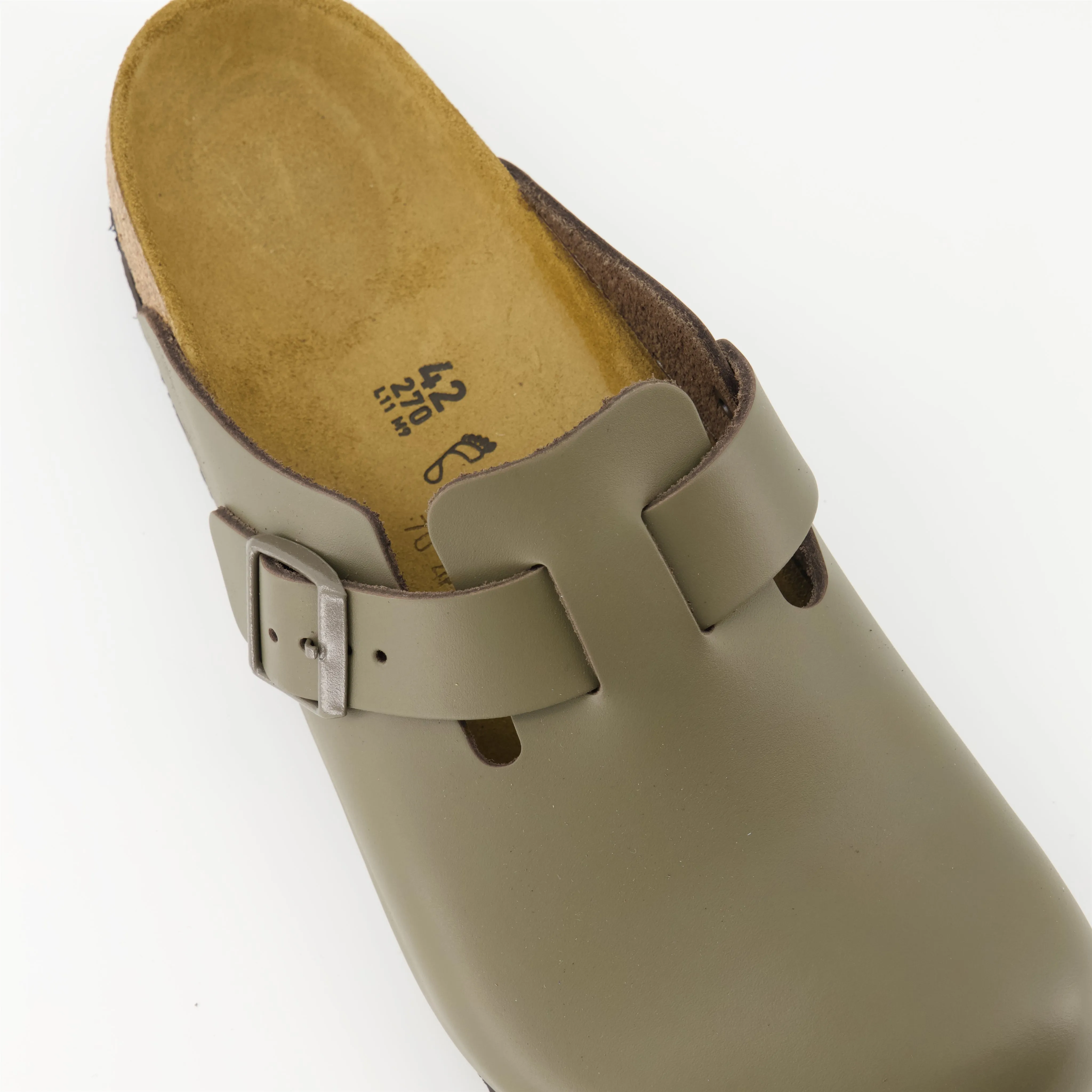 Boston Cacti Mules