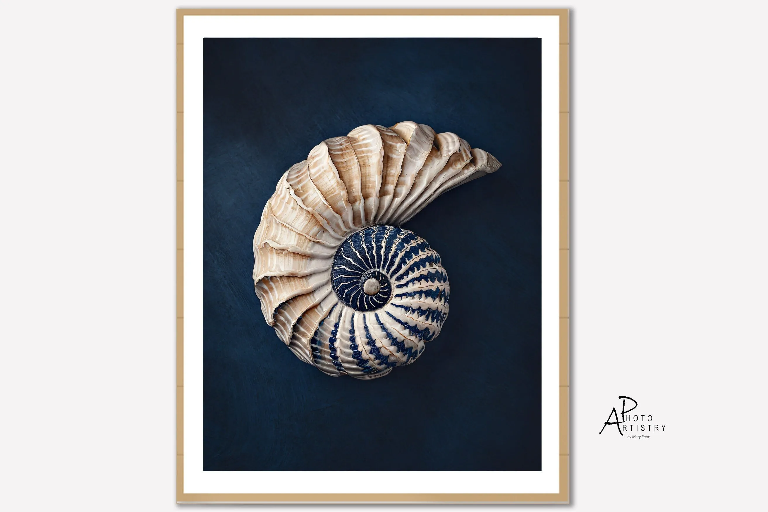 Shell Art Nautilus Canvas Print, Nautical Art Coastal Wall Art Beach House, Cottage Art Blue Gift