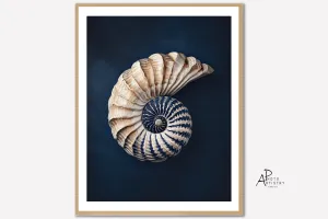 Shell Art Nautilus Canvas Print, Nautical Art Coastal Wall Art Beach House, Cottage Art Blue Gift