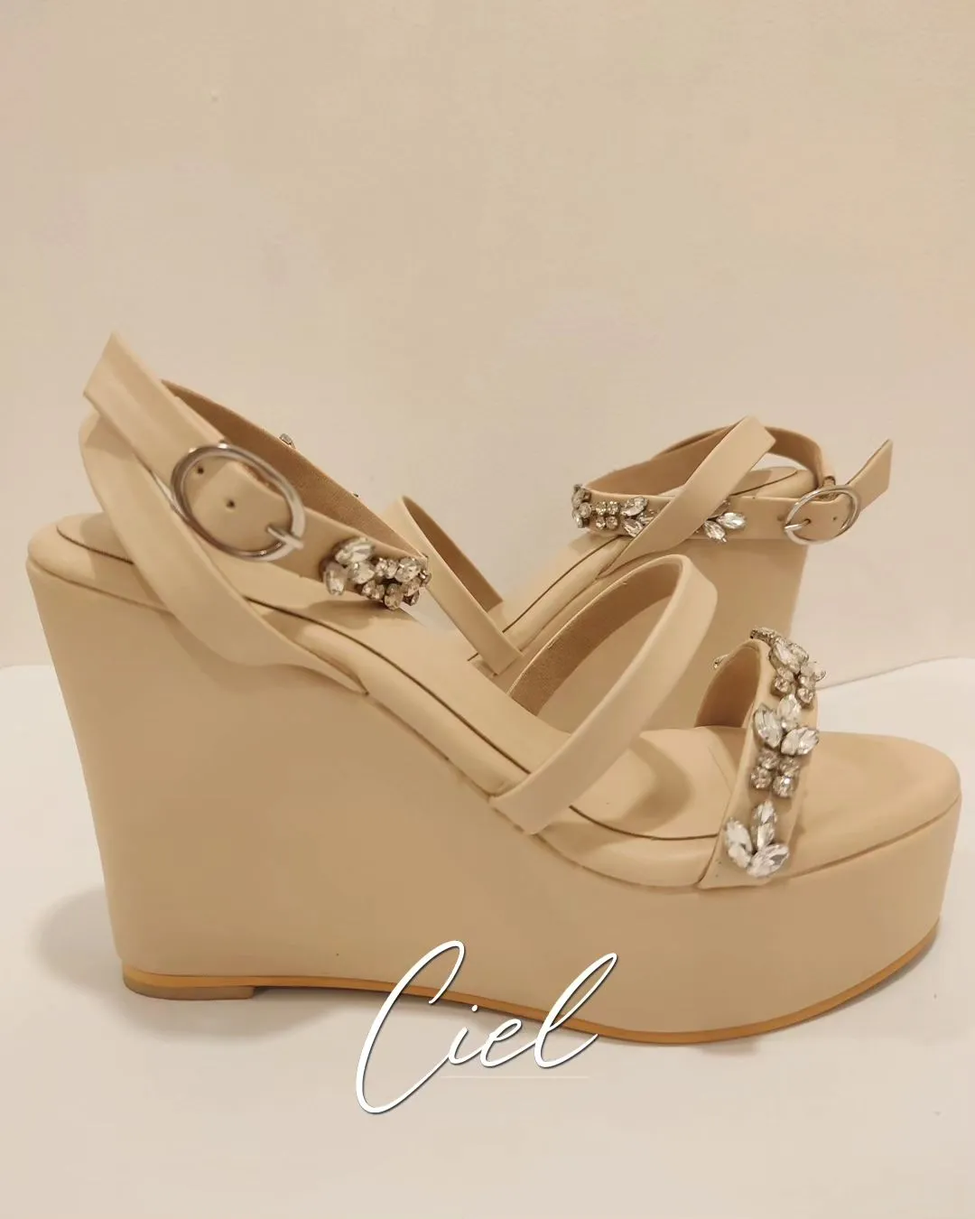 The IRIS Wedges