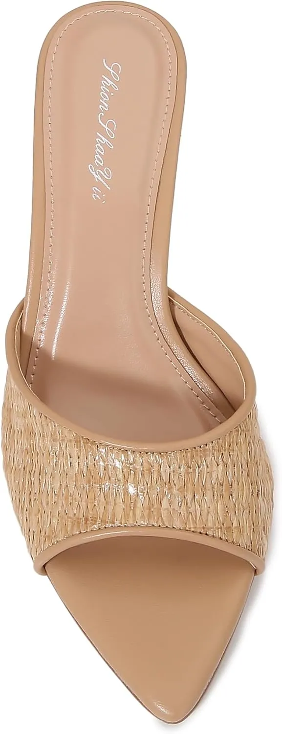 Women Clear Pointed Toe Sandals Stiletto Heels Transparent Strap High Heels Slip on Mules for Women