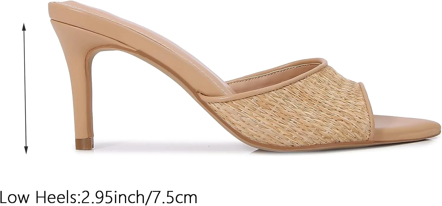 Women Clear Pointed Toe Sandals Stiletto Heels Transparent Strap High Heels Slip on Mules for Women
